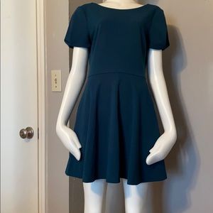 Super Cute Holiday Evergreen Dress